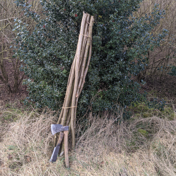 hedgelaying stakes